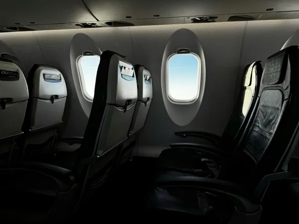 Cover image for The Empty Seatback Pocket