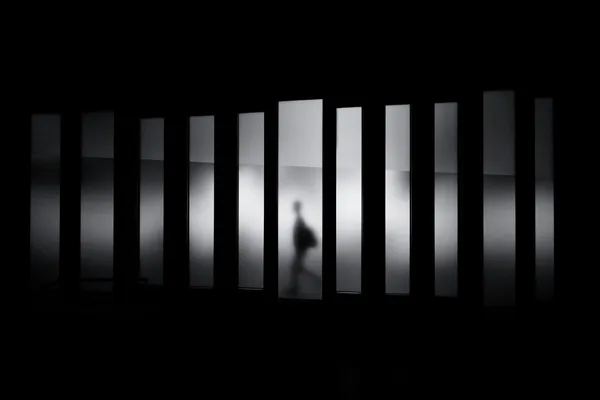 Cover image for The Business of Containment 